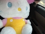 新着ブログ お休み^. ̫ .^♩