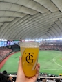 新着ブログ ⚾️︎ ̖́-