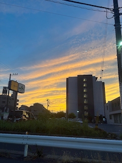 せいら