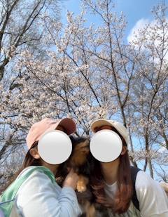 めぐ「春🌸」
