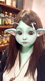 chiko