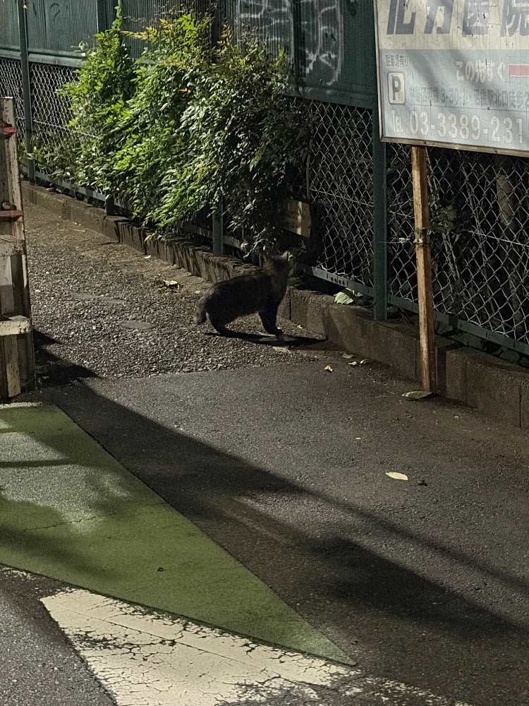 あずさ