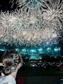 新着ブログ 君の傍でまた咲く🎆