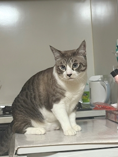 プロフィール写真2・はに｜フェスティバル 裏なんば店 - 裏なんばのガールズバー