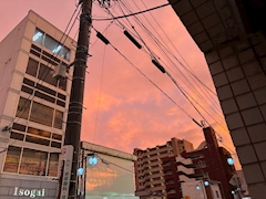 拓矢