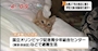 新着ブログ 下半期にやりたいこと