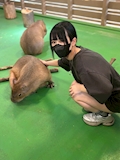 ひかる