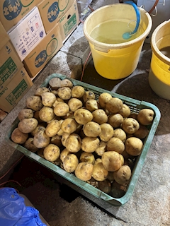 プロフィール写真6・ゆあ♡AJ♡｜AJ・エージェー - 神戸三宮のキャバクラ