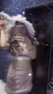 プロフィール写真3・うたたのた!|CLUB FIRSTCLASS・ファーストクラス - 青森市のキャバクラ