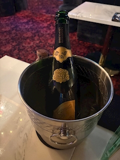 いちか「ひさしぶりぶりざえもん」