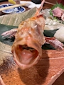 新着ブログ 出勤
