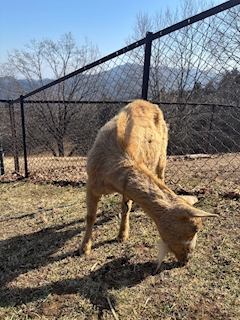 さき🤍西川口kross「初秩父‼️」