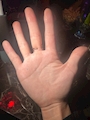 新着ブログ 🖐️
