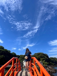 ゆめか