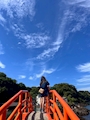 新着ブログ ひさびさ