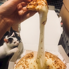 プロフィール写真5・亜子🐱あこち🐱|新宿・歌舞伎町 熟女キャバクラ・Mrs.J