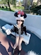 プロフィール写真3・ひな【上野epic】|CLUB EPIC・エピック - 上野のキャバクラ