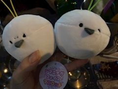 しい「飲みべたかめ」