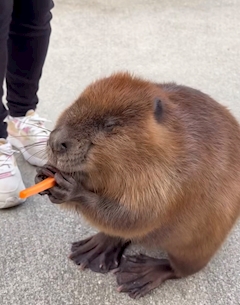 もえ「今日も出勤～🎀」