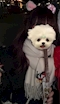 プロフィール写真1・みずき|FIVE STAR・ファイブスター - 稲毛のガールズバー