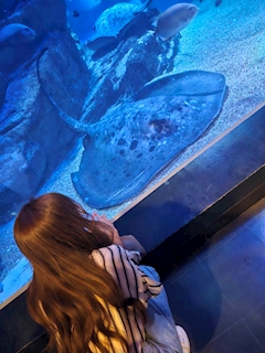 プロフィール写真2・ゆり|RAIN・レイン - 本八幡の熟女パブ/熟女キャバクラ