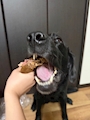新着ブログ 9/7~🐾✨