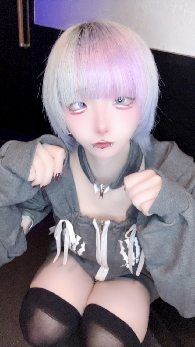 🐈さと🐈‍⬛ ノラ猫でも愛してくれますか？