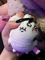 chiko