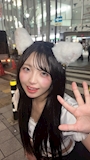 新着ブログ にゃーん