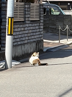 ひな