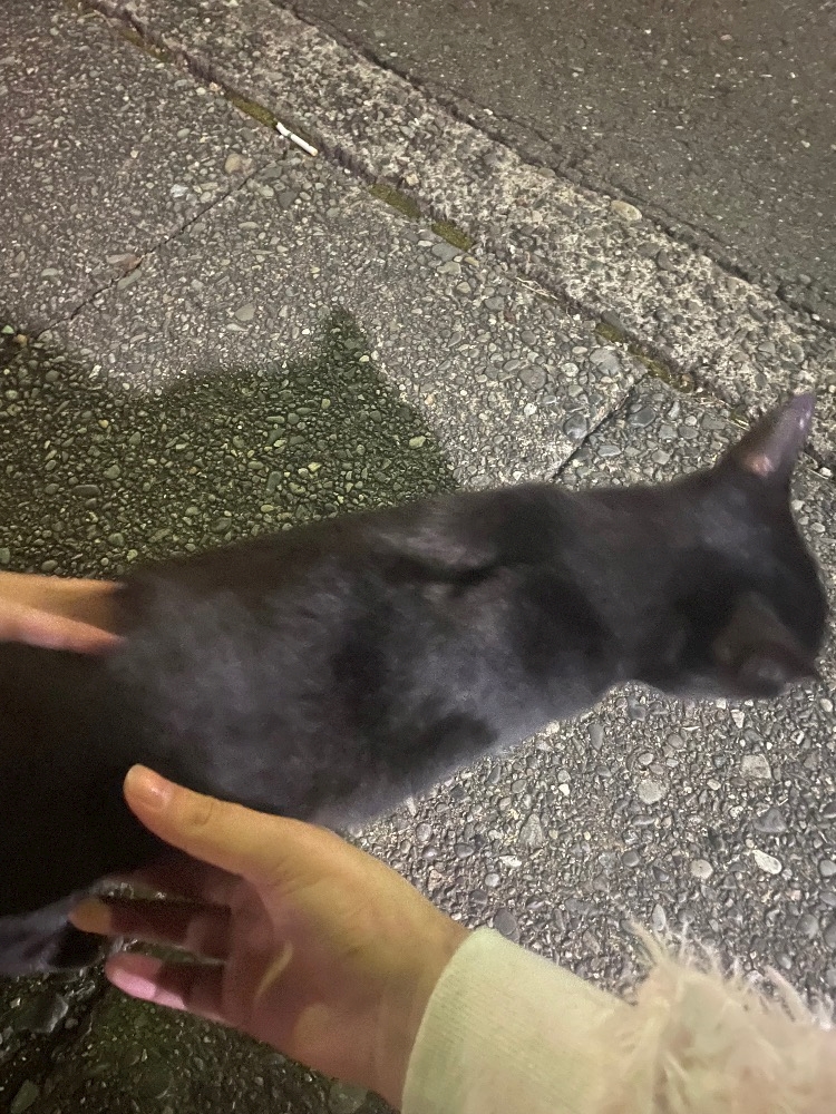 ゆう