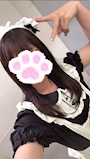 新着ブログ 🐾🧡
