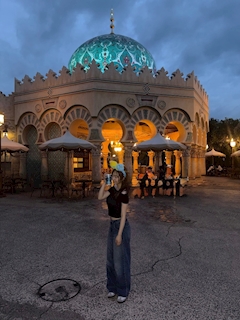 あん「🐭🏰」