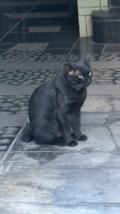 じゅり