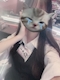 プロフィール写真4・れいminis cafe ＋｜miniscafe ＋・ミニスカフェ プラス - 名古屋 栄のガールズバー