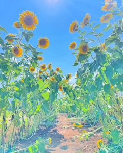 プロフィール写真5・Franc☆てんちょ〜｜