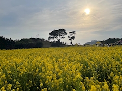 お花の季節がやってくるぞ～～！！