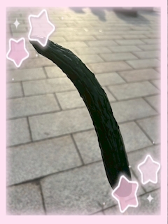 おとめ
