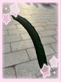 新着ブログ お祭り> ·̫ <♡