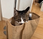 新着ブログ 🐈⬛❤️