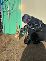 chiko