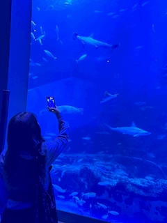 プロフィール写真1・ゆり｜GirlsBar COLOR・カラー - 新橋のガールズバー