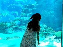 プロフィール写真3・ひな｜CLUB L・クラブ エル - 平井のキャバクラ