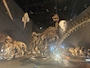 新着ブログ リアルあつ森博物館🦖⸒⸒