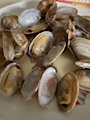 新着ブログ あさり㌠🐚