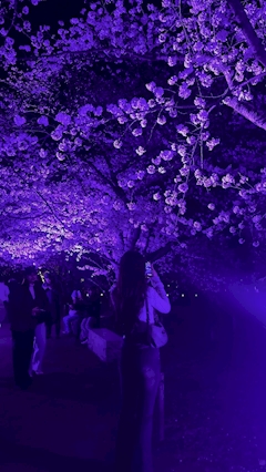 プロフィール写真1・める｜PARADISE 博多・パラダイス ハカタ - 博多のキャバクラ