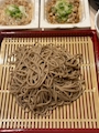 Lounge 箔