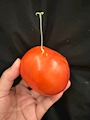 Lounge 箔