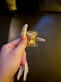 新着ブログ ちょこ