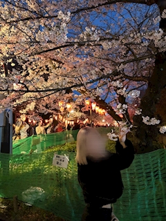 ここあ「❀.*ﾟ」